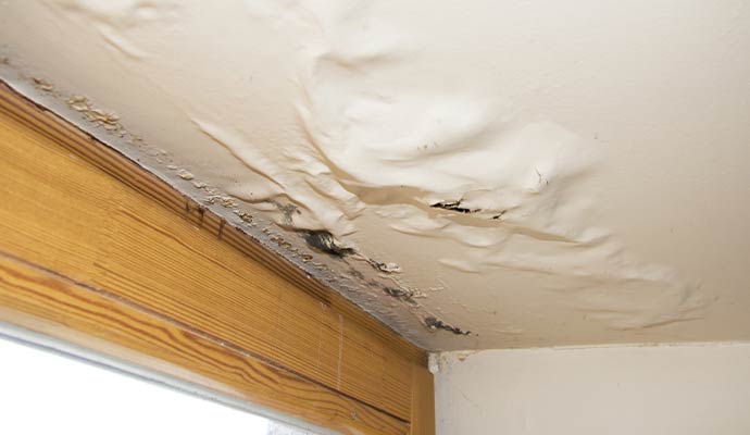 Visible leak on the roof