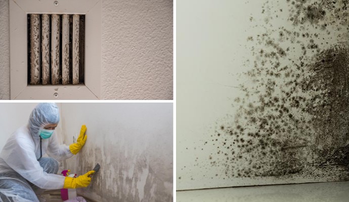 Collage of mold damaged HVAC and wall and mold remediation service