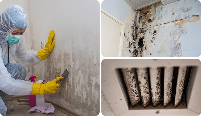 Collage of mold remediation, black mold on wall and moldy HVAC