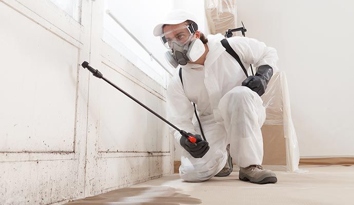 Commercial mold remediation service