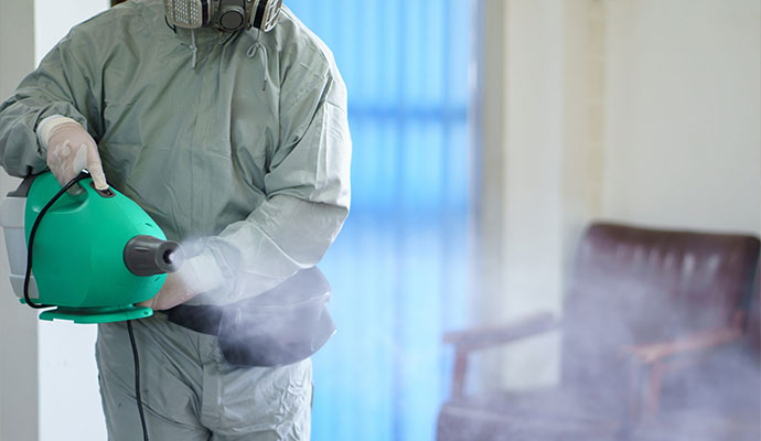 Smoke odor restoration process