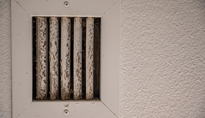 Mold affected HVAC