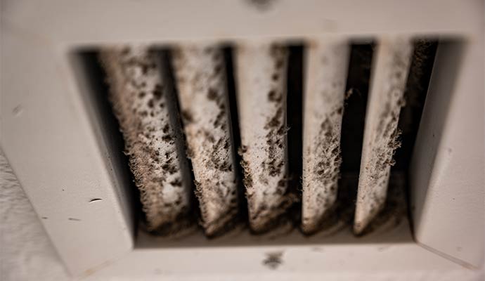 Mold in HVAC
