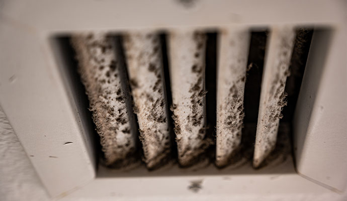 HVAC mold growth on air vent