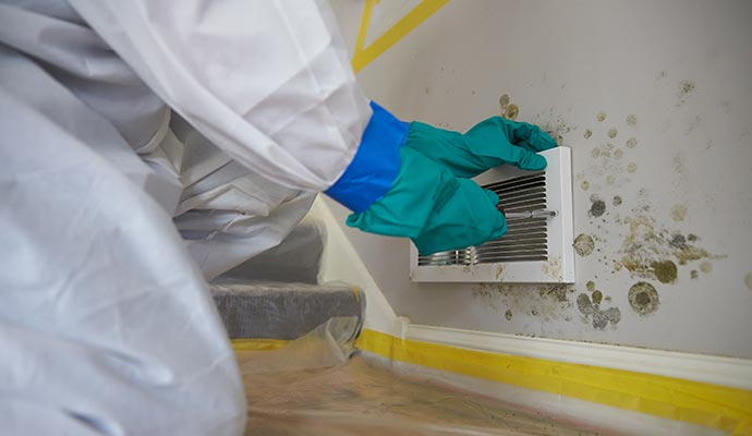 HVAC mold remediation