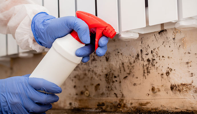 A mildew removal spray treatment on a wall