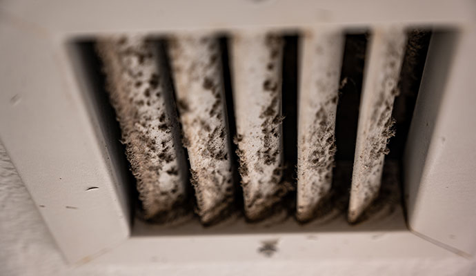 Mold growth on air vent Mold growth on air vent