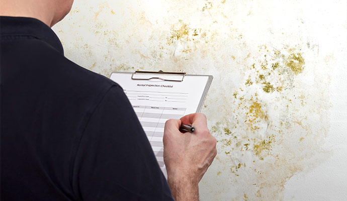 Mold inspection service