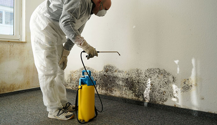 Mold Decontamination in Lubbock