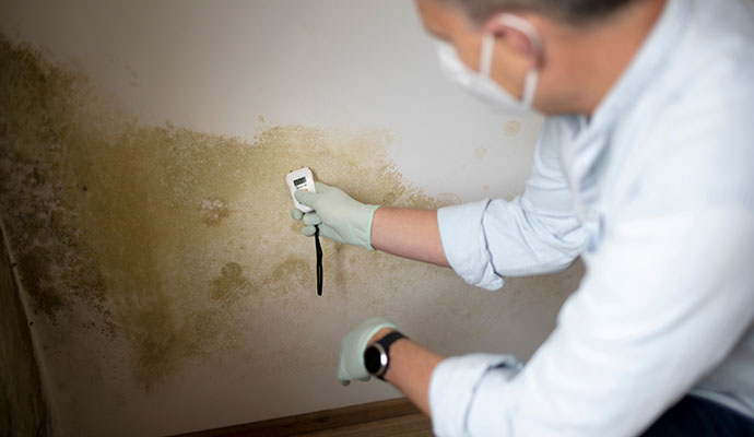 A technician inspecting mold on the wall