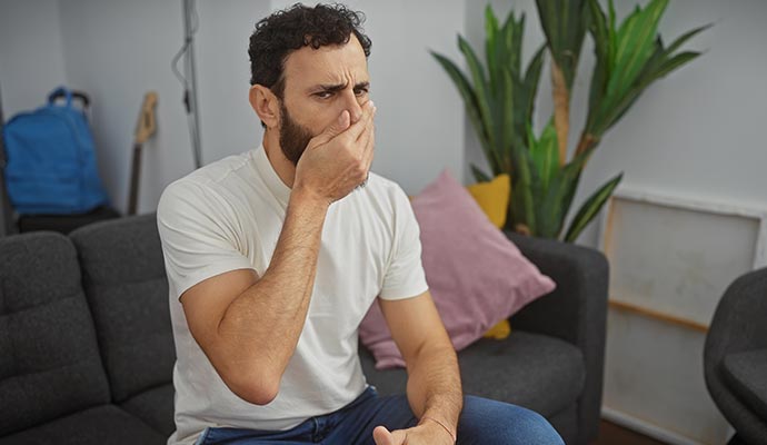 Odors from Couches and Sofas