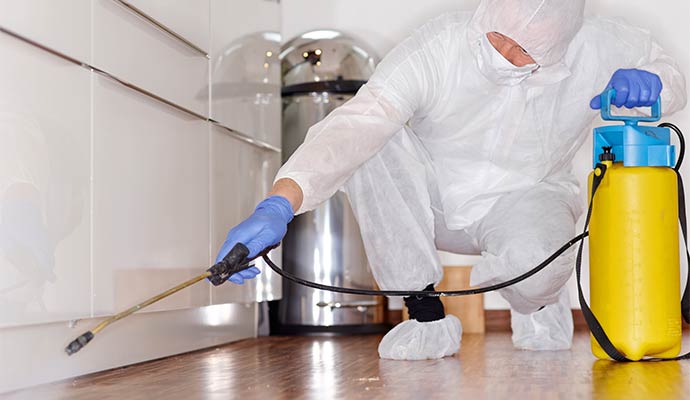 Professional disinfecting and sanitization services.