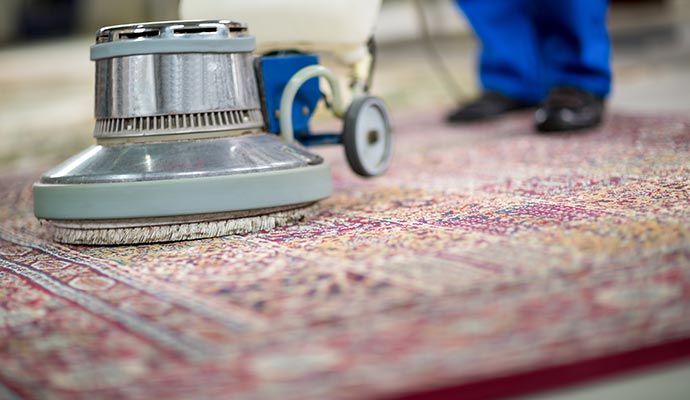 Rug cleaning service