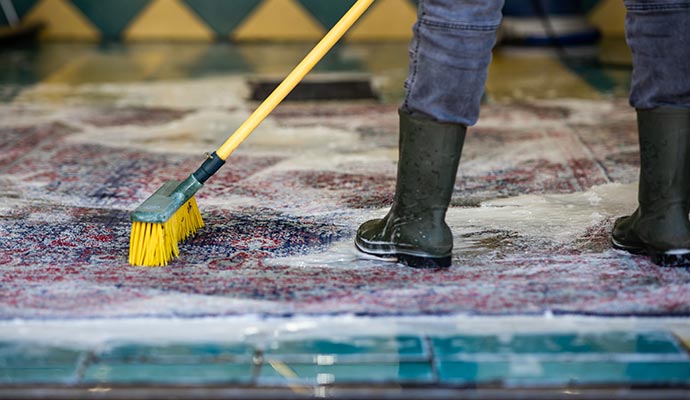 A person is cleaning rug