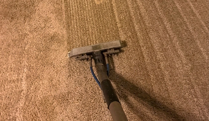 Professional carpet steam cleaning service