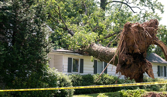A wind damaged property