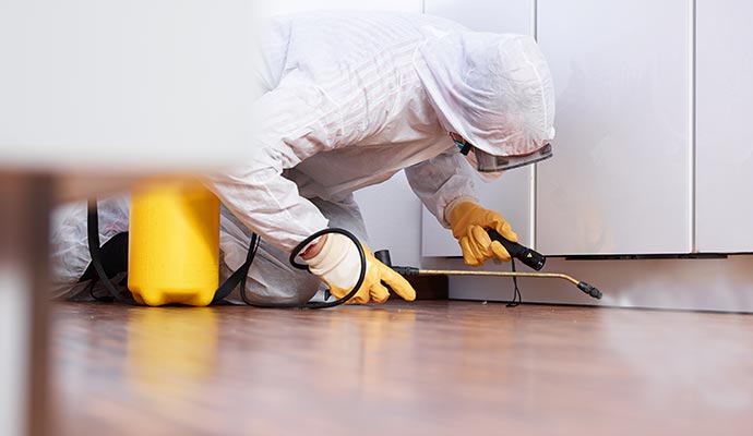 A person disinfecting a room