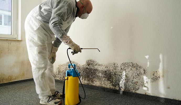 A person remediating mold