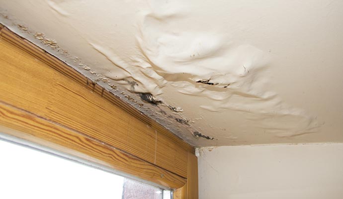 Water damaged ceiling Water damaged ceiling