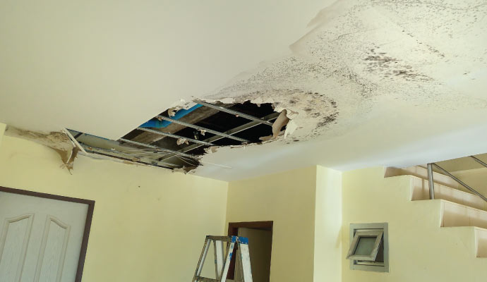 Damaged ceiling showing visible mold