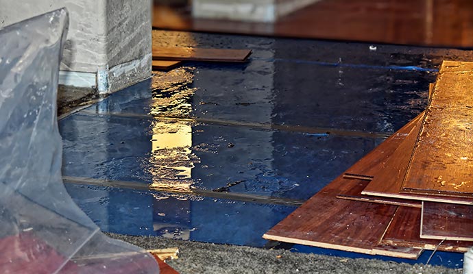 Wet hardwood floor after leak Wet hardwood floor after leak