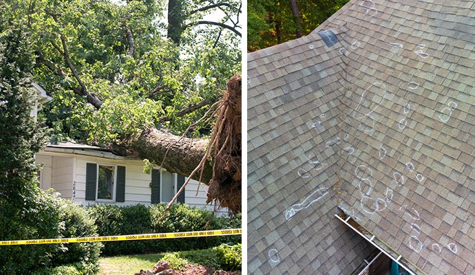 Collage of wind damage and hail damage