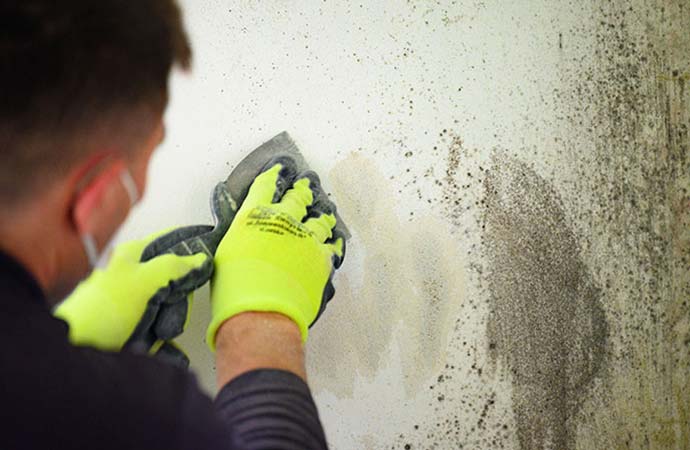 Mold Remediation